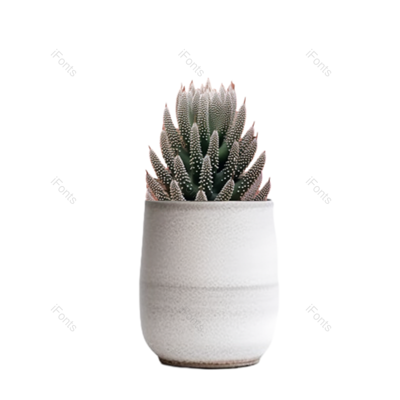 叶子图片,装饰元素,花纹PNG,清新免抠素材